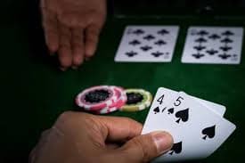77bet